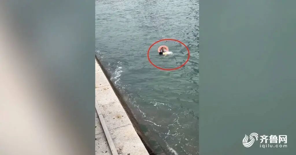 为栈桥“玉米阿姨”点赞!57岁刘玉荣纵身一跃救下落水女游客 为栈桥“玉米阿姨”点赞!57岁刘玉荣纵身一跃救下落水女游客