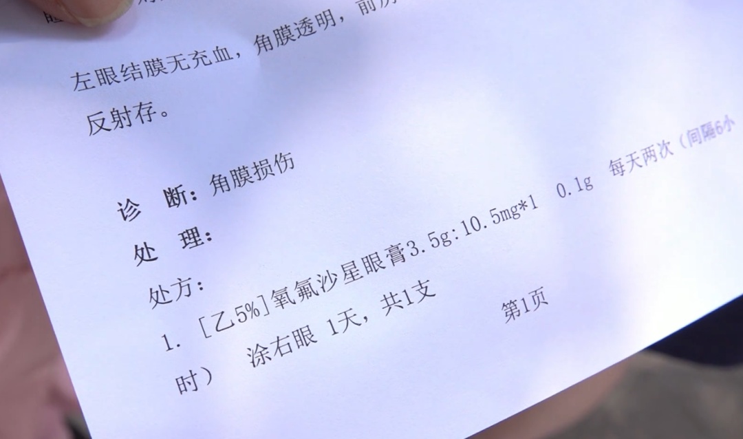 绿化芒从4层楼高树上掉落，路过女子右眼被砸伤
