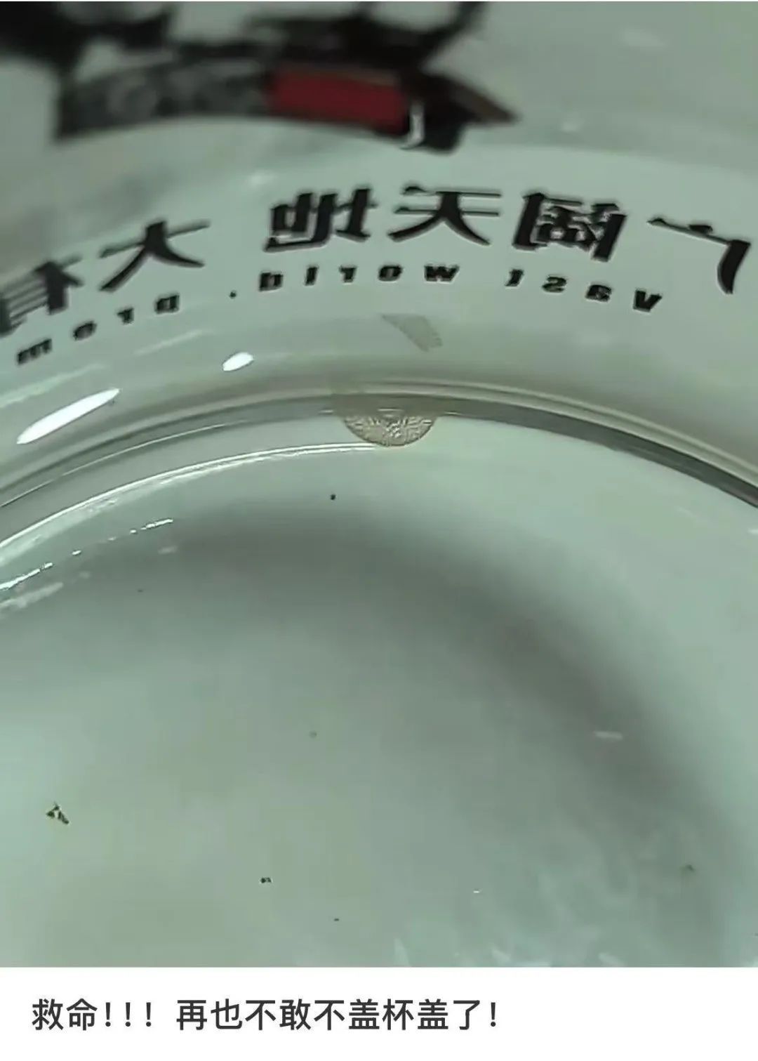 喝了隔夜水里的蚊子卵!专家:没事 喝了隔夜水里的蚊子卵!专家:没事