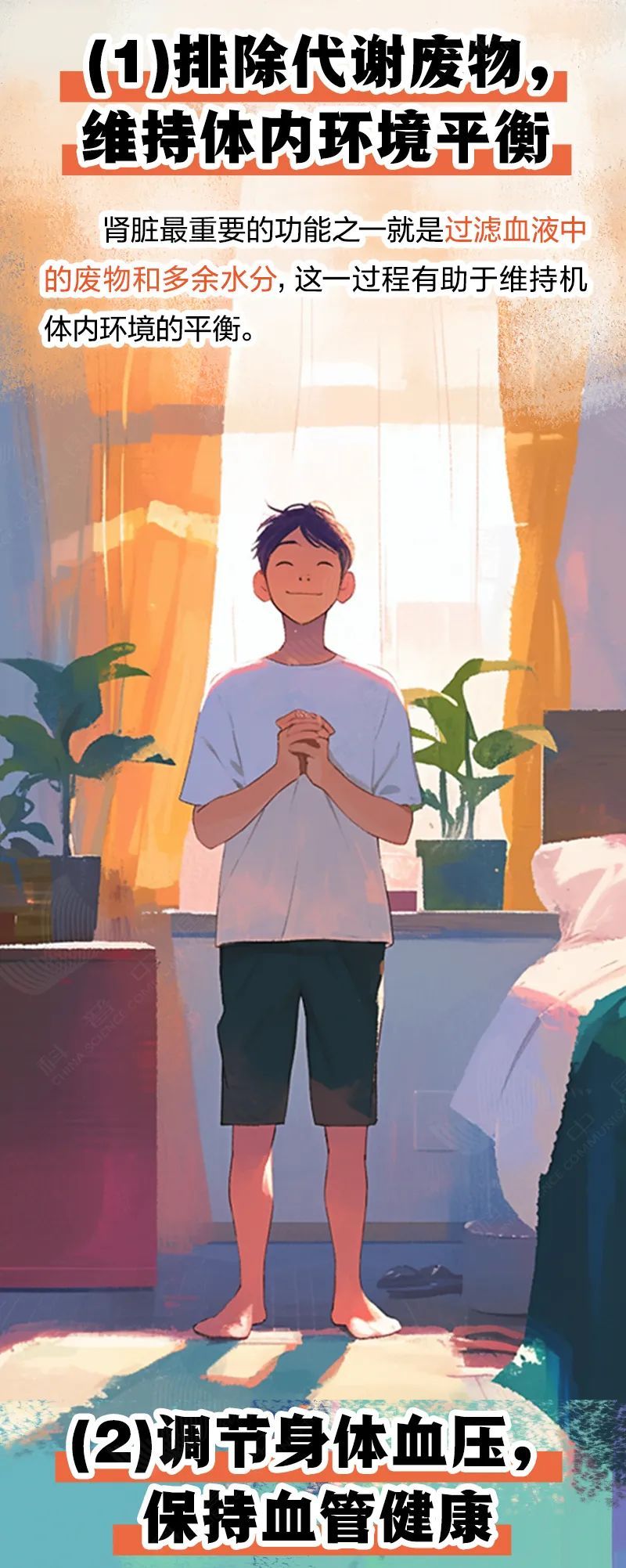 这5个行为,正在悄悄伤害你的肾→ 这5个行为,正在悄悄伤害你的肾→