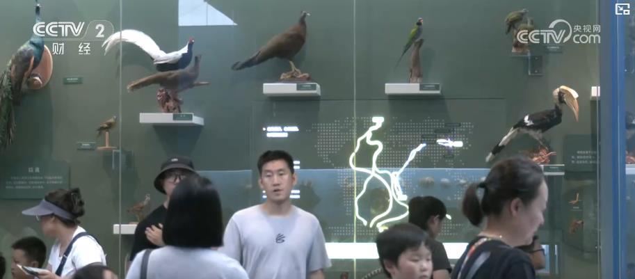 暑期旅游新趋势:观展游、清凉游受青睐 青少年成增长主力 暑期旅游新趋势:观展游、清凉游受青睐 青少年成增长主力