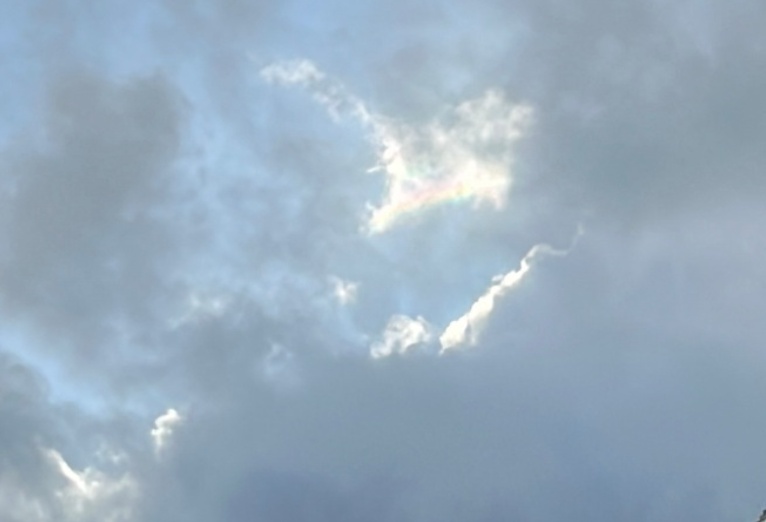 大到暴雨!市区已被预警包围……上海出现“奇景”!多人拍下这一幕,专家解释→ 大到暴雨!市区已被预警包围……上海出现“奇景”!多人拍下这一幕,专家解释→