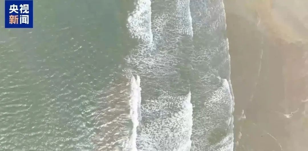 广东赶海潮来了!看到这些千万别碰 广东赶海潮来了!看到这些千万别碰