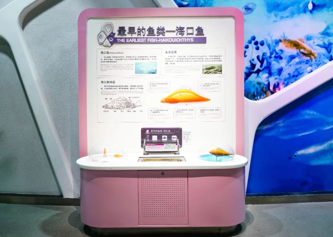 展项拾趣 | 世界上第一条鱼，竟然只有拇指那么大？