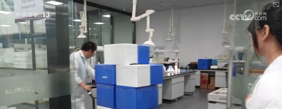 不同颜色快递“冷媒”代表什么?冰袋能否重复使用?科普来了 不同颜色快递“冷媒”代表什么?冰袋能否重复使用?科普来了