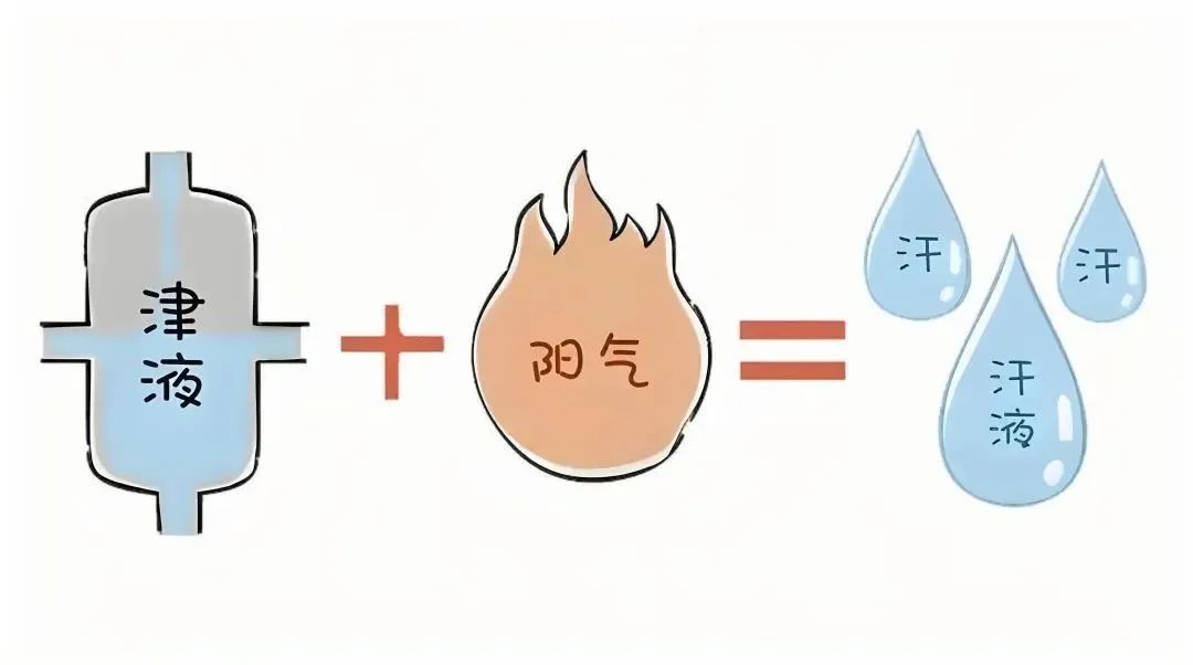 一热就出汗 VS 热死不出汗，哪种更健康？