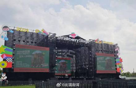 当地回应音乐节现场领证结婚 当地回应音乐节现场领证结婚