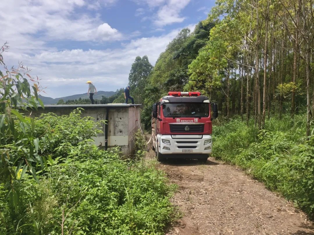广西3700头猪这一幕太心酸,负责人:报警! 广西3700头猪这一幕太心酸,负责人:报警!