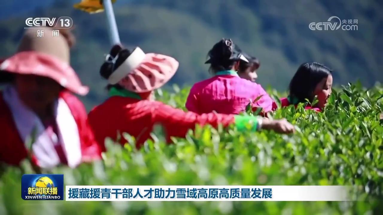 援藏援青干部人才助力雪域高原高质量发展 援藏援青干部人才助力雪域高原高质量发展