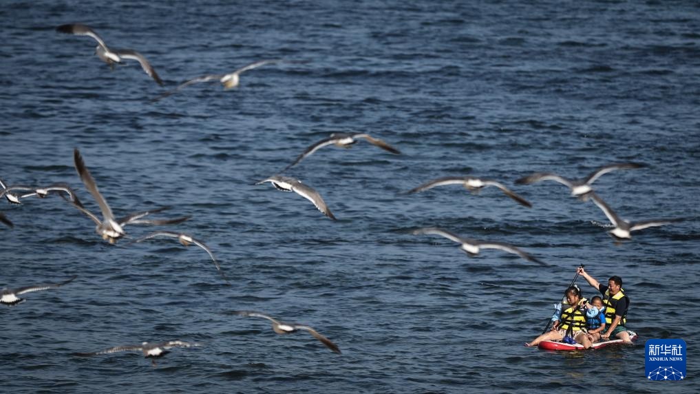 辽宁大连:海滨消暑 辽宁大连:海滨消暑
