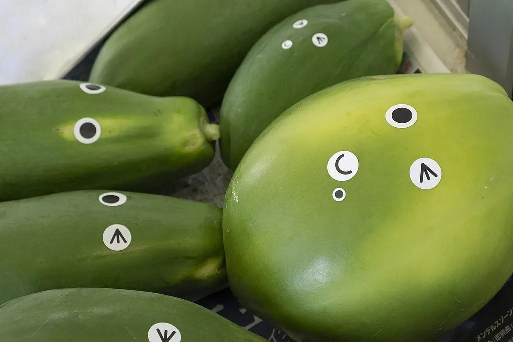 “抱冬瓜睡觉可以防暑降温”？医生提醒这些人要特别注意→