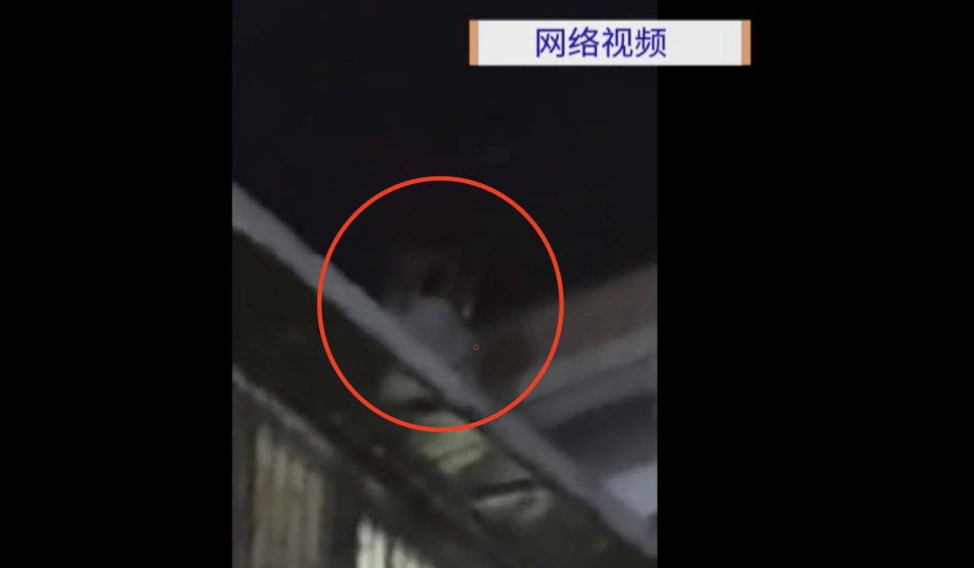 广州一男子深夜在楼顶高空抛物，警方已介入
