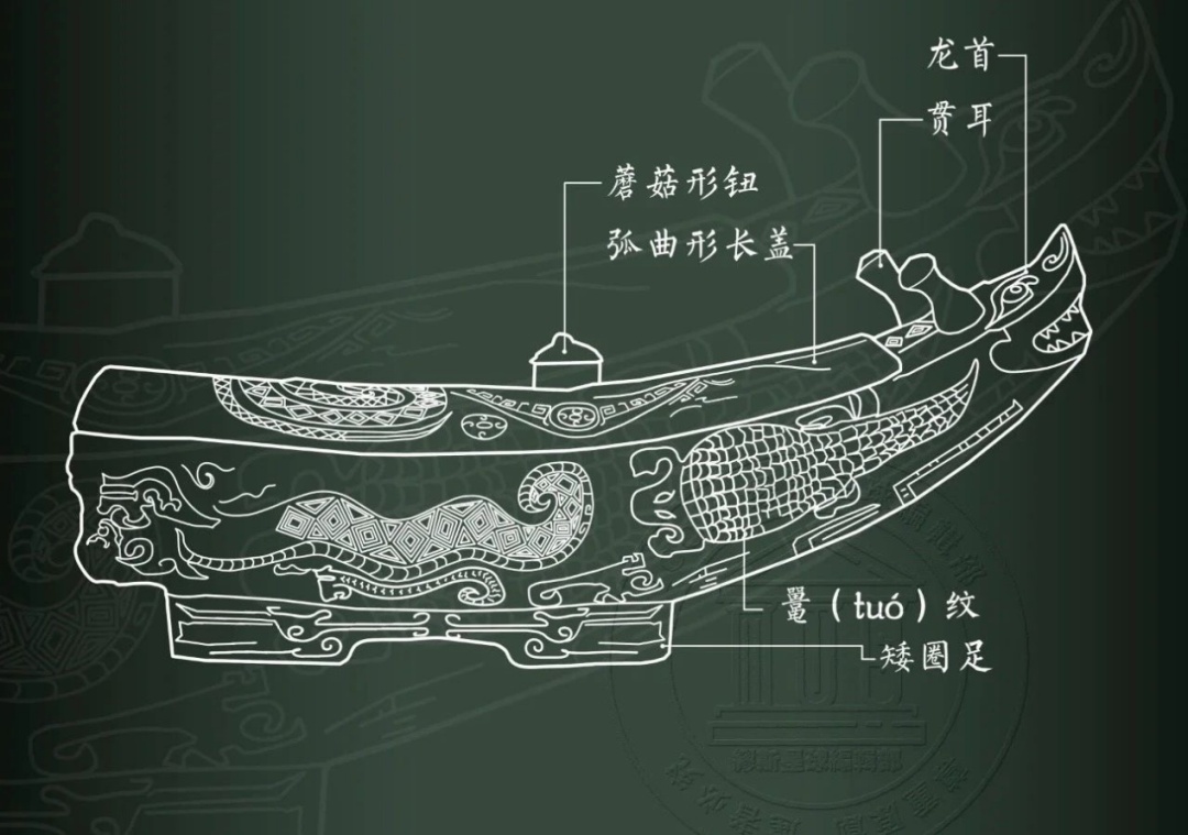 100000年前,清凉山西曾是热带雨林?! 100000年前,清凉山西曾是热带雨林?!