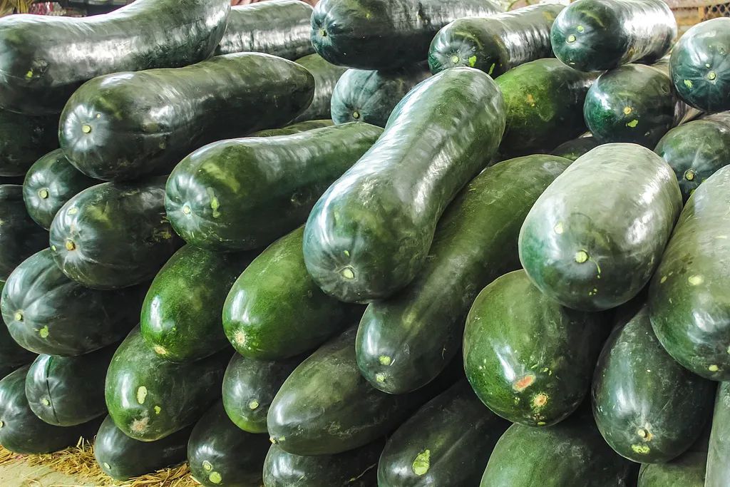 “抱冬瓜睡觉可以防暑降温”？医生提醒这些人要特别注意→