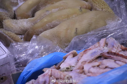 深圳海警查获669吨产地不明走私冻品 ,涉案11人被判刑 深圳海警查获669吨产地不明走私冻品 ,涉案11人被判刑