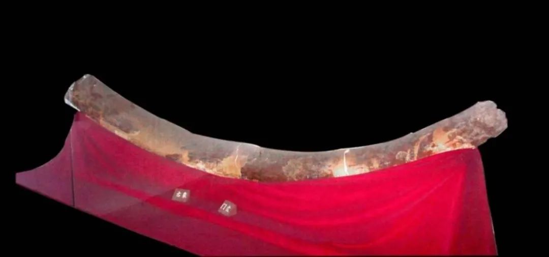 100000年前,清凉山西曾是热带雨林?! 100000年前,清凉山西曾是热带雨林?!