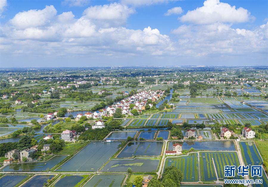 安徽当涂:夏日水乡新画卷 安徽当涂:夏日水乡新画卷