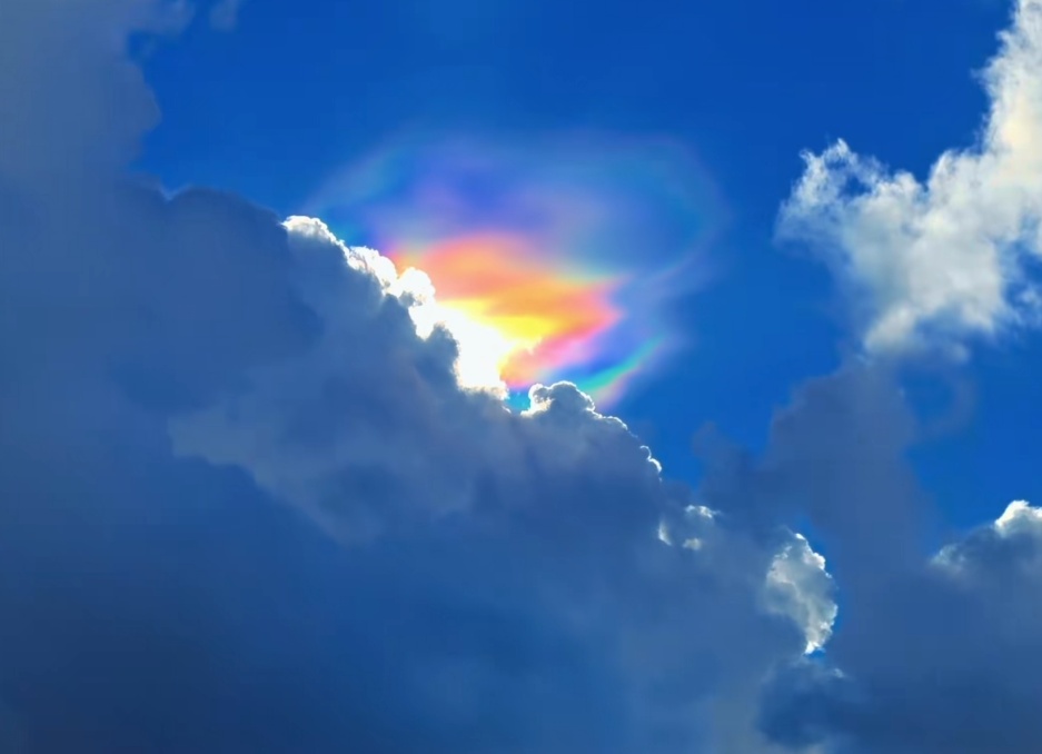 大到暴雨!市区已被预警包围……上海出现“奇景”!多人拍下这一幕,专家解释→ 大到暴雨!市区已被预警包围……上海出现“奇景”!多人拍下这一幕,专家解释→