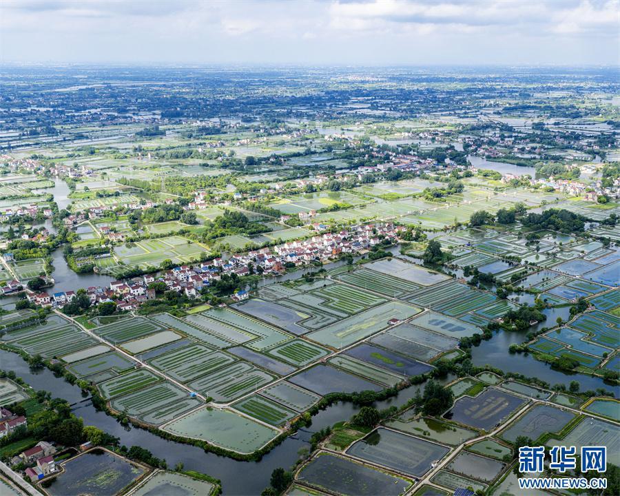 安徽当涂:夏日水乡新画卷 安徽当涂:夏日水乡新画卷