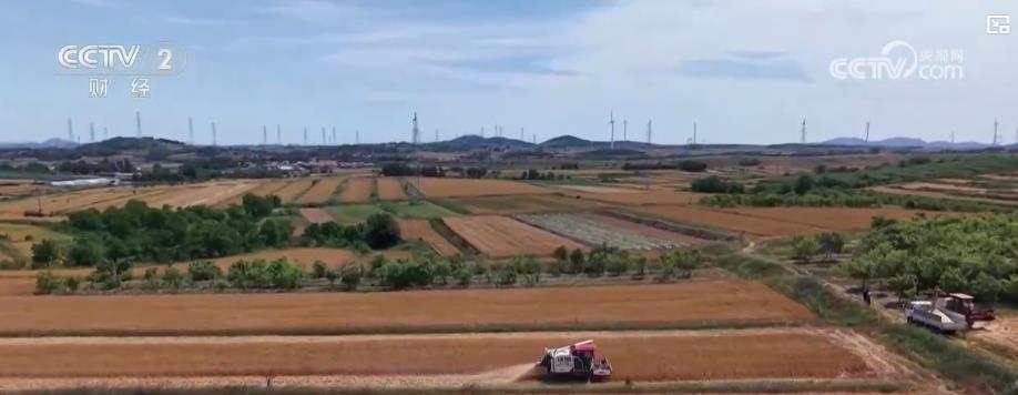 全国夏粮实现稳产丰收 为全年粮食生产奠定基础