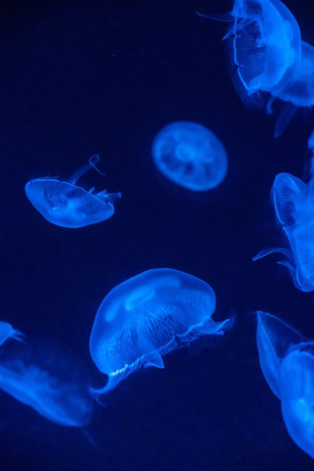 广东赶海潮来了!看到这些千万别碰 广东赶海潮来了!看到这些千万别碰