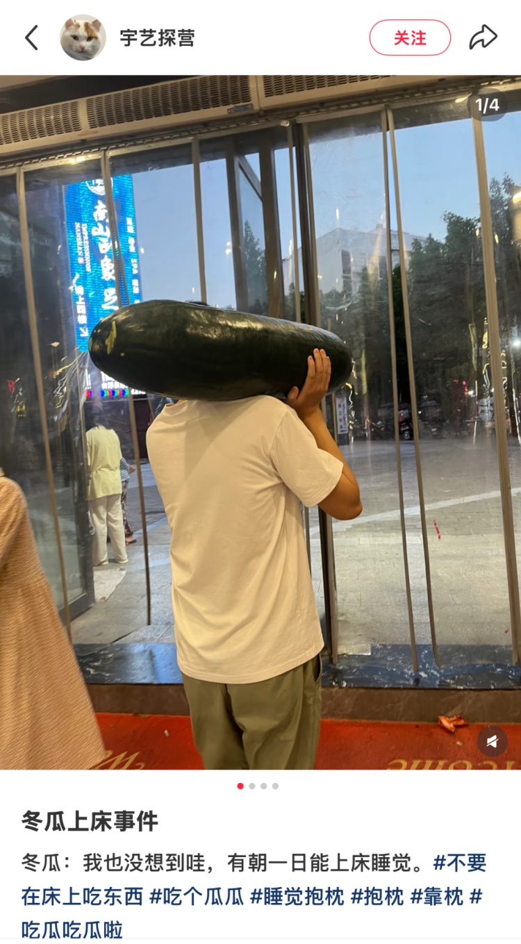 一夜之间,“抱着冬瓜睡觉”突然走红!男子在深圳买28斤冬瓜带回香港 一夜之间,“抱着冬瓜睡觉”突然走红!男子在深圳买28斤冬瓜带回香港