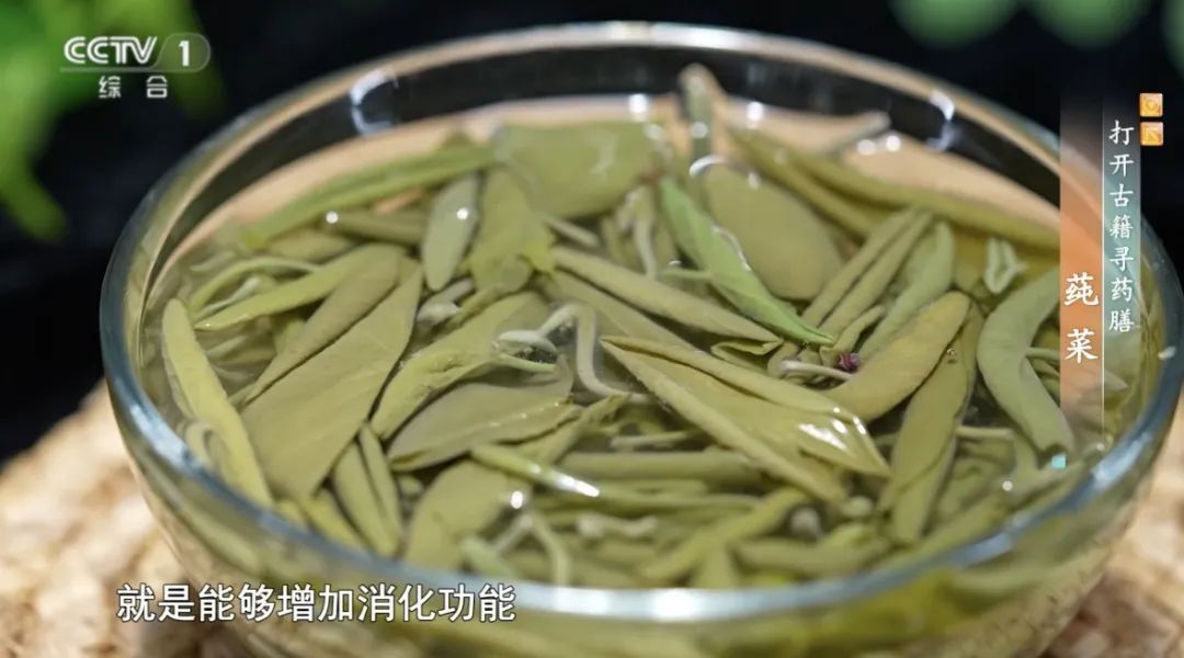 这种菜被称为“水中人参”,夏天常吃它,消暑解毒,还有助于提高免疫力、减肥 这种菜被称为“水中人参”,夏天常吃它,消暑解毒,还有助于提高免疫力、减肥