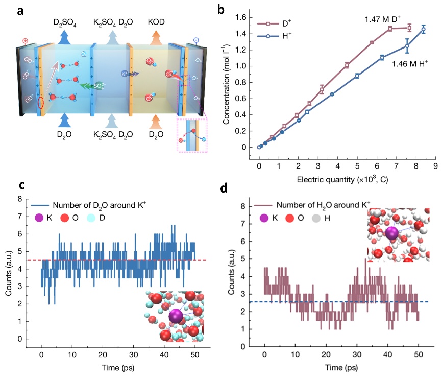 利好医药、新材料领域!中国科学家把这类原料成本降下来了 利好医药、新材料领域!中国科学家把这类原料成本降下来了