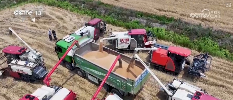 2994.8亿斤、375.6公斤……“数”里行间多维度观察夏粮稳产丰收 2994.8亿斤、375.6公斤……“数”里行间多维度观察夏粮稳产丰收