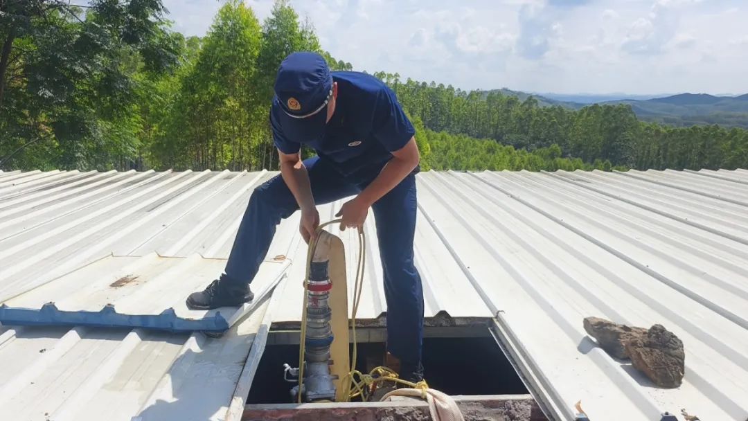 广西3700头猪这一幕太心酸,负责人:报警! 广西3700头猪这一幕太心酸,负责人:报警!