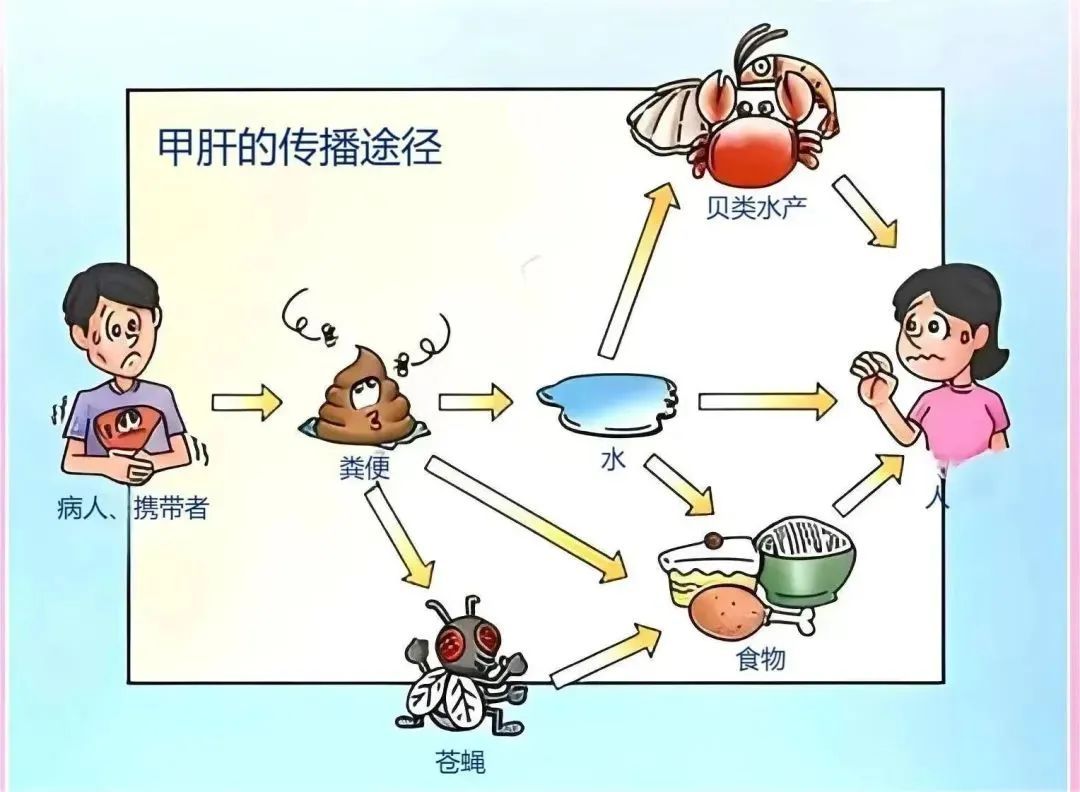 上海街头生腌店，自产自销生制虾蟹合法吗？媒体实地暗访……