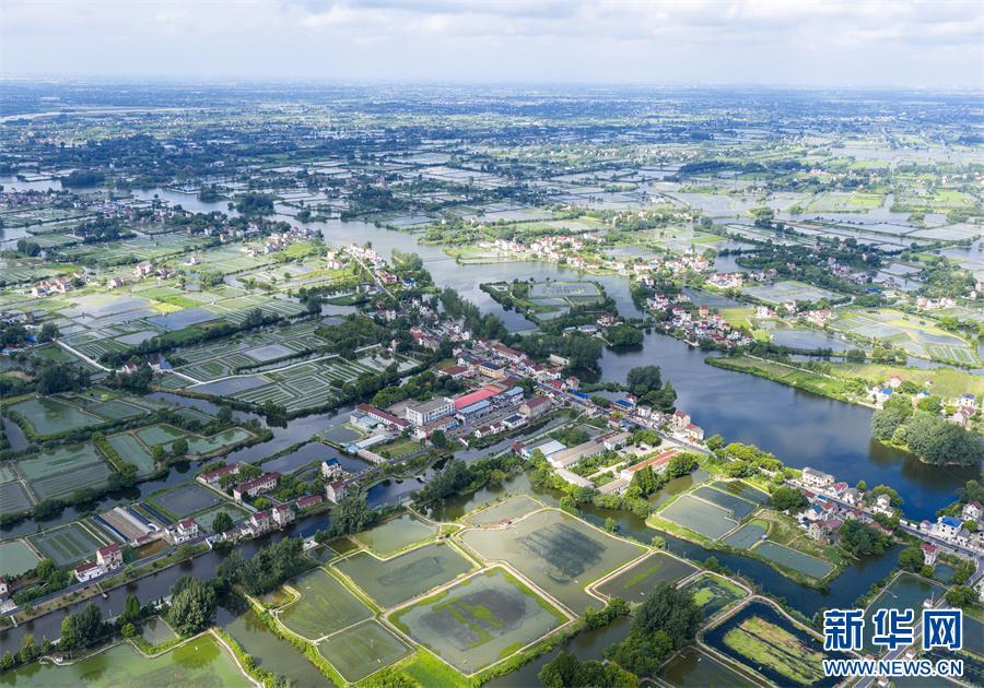 安徽当涂:夏日水乡新画卷 安徽当涂:夏日水乡新画卷