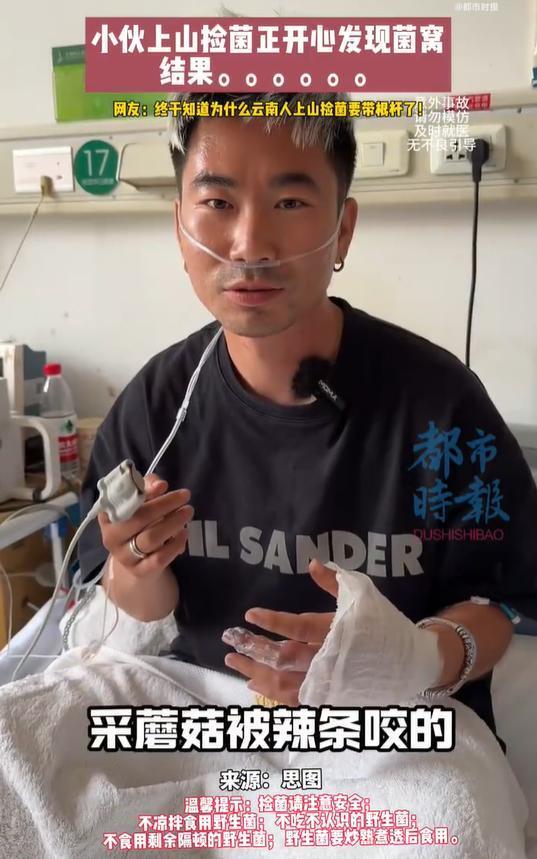 小伙上山采野生菌被毒蛇咬伤，紧急就医抢回一命