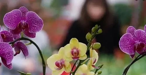 这些炒菜习惯很可能让全家人吃进翻倍致癌物!速自查! 这些炒菜习惯很可能让全家人吃进翻倍致癌物!速自查!