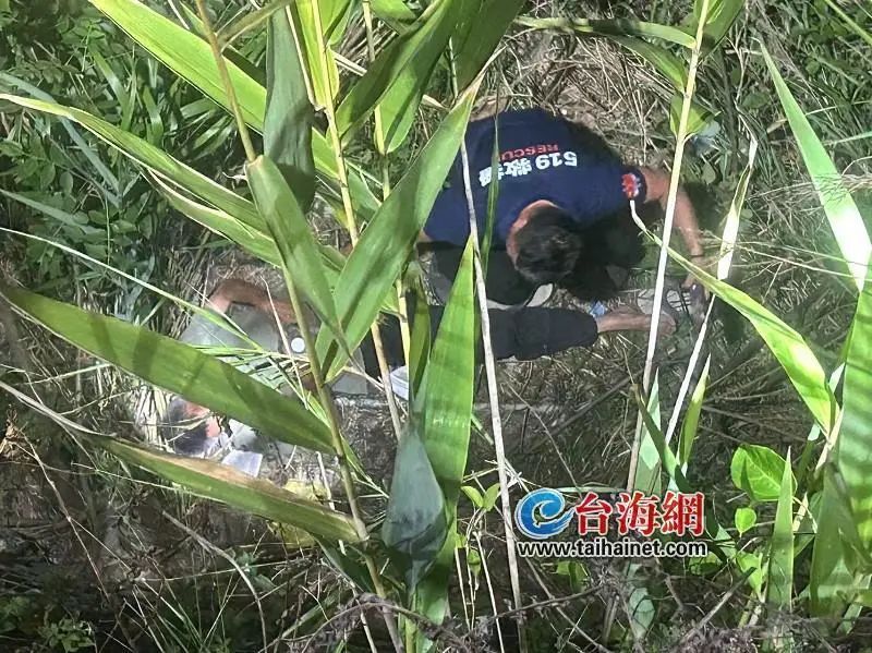 情况紧急！厦门30人接力搜寻30小时，终于在草丛里找到他了……