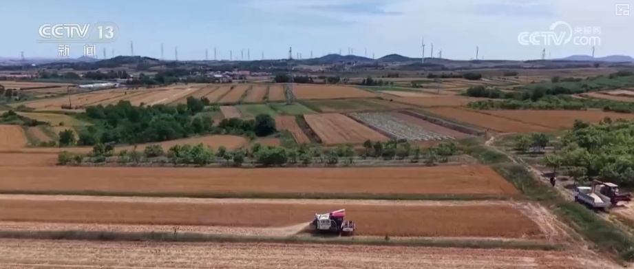 2994.8亿斤、375.6公斤……“数”里行间多维度观察夏粮稳产丰收 2994.8亿斤、375.6公斤……“数”里行间多维度观察夏粮稳产丰收