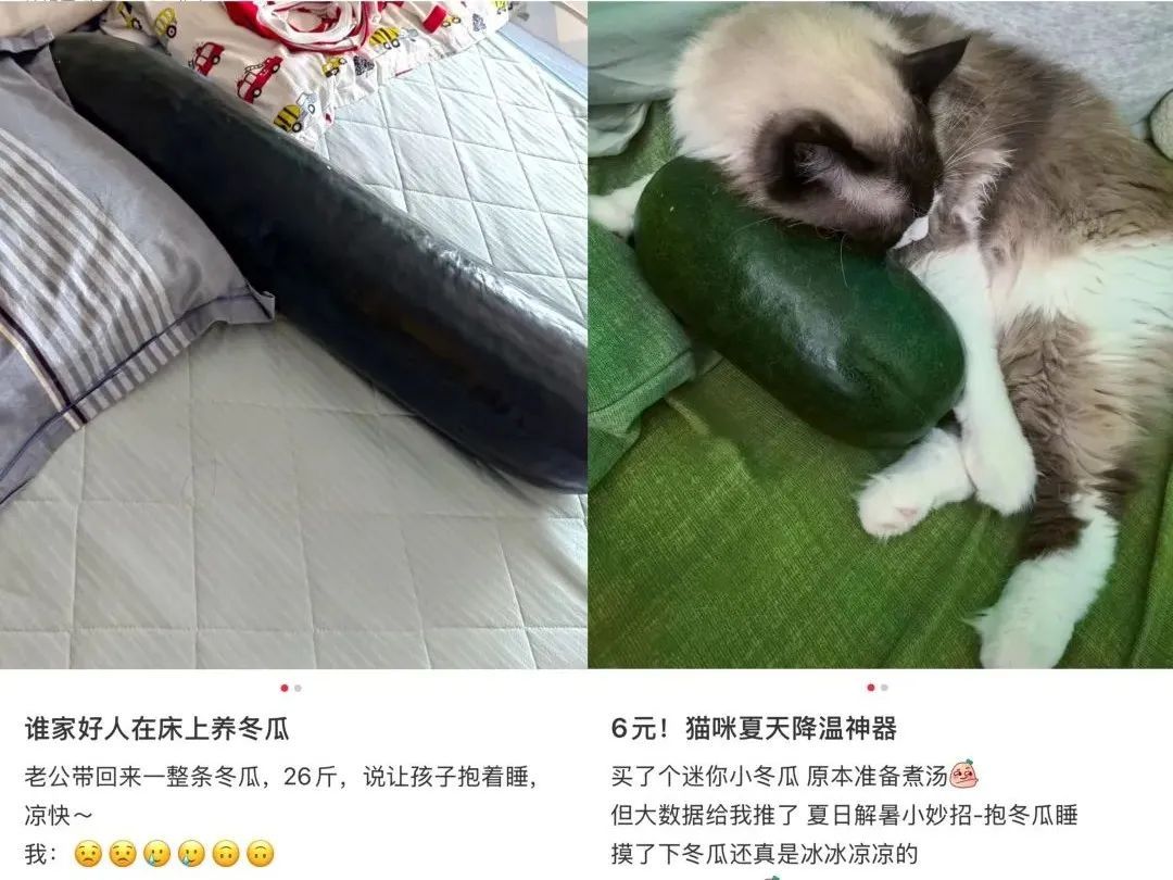 “抱冬瓜睡觉”突然走红，真的可以降温吗？医生紧急提醒：这类人群要注意！