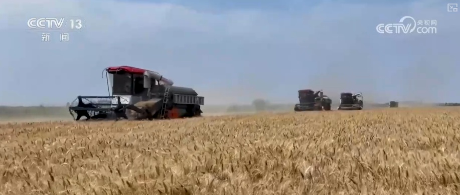 2994.8亿斤、375.6公斤……“数”里行间多维度观察夏粮稳产丰收 2994.8亿斤、375.6公斤……“数”里行间多维度观察夏粮稳产丰收