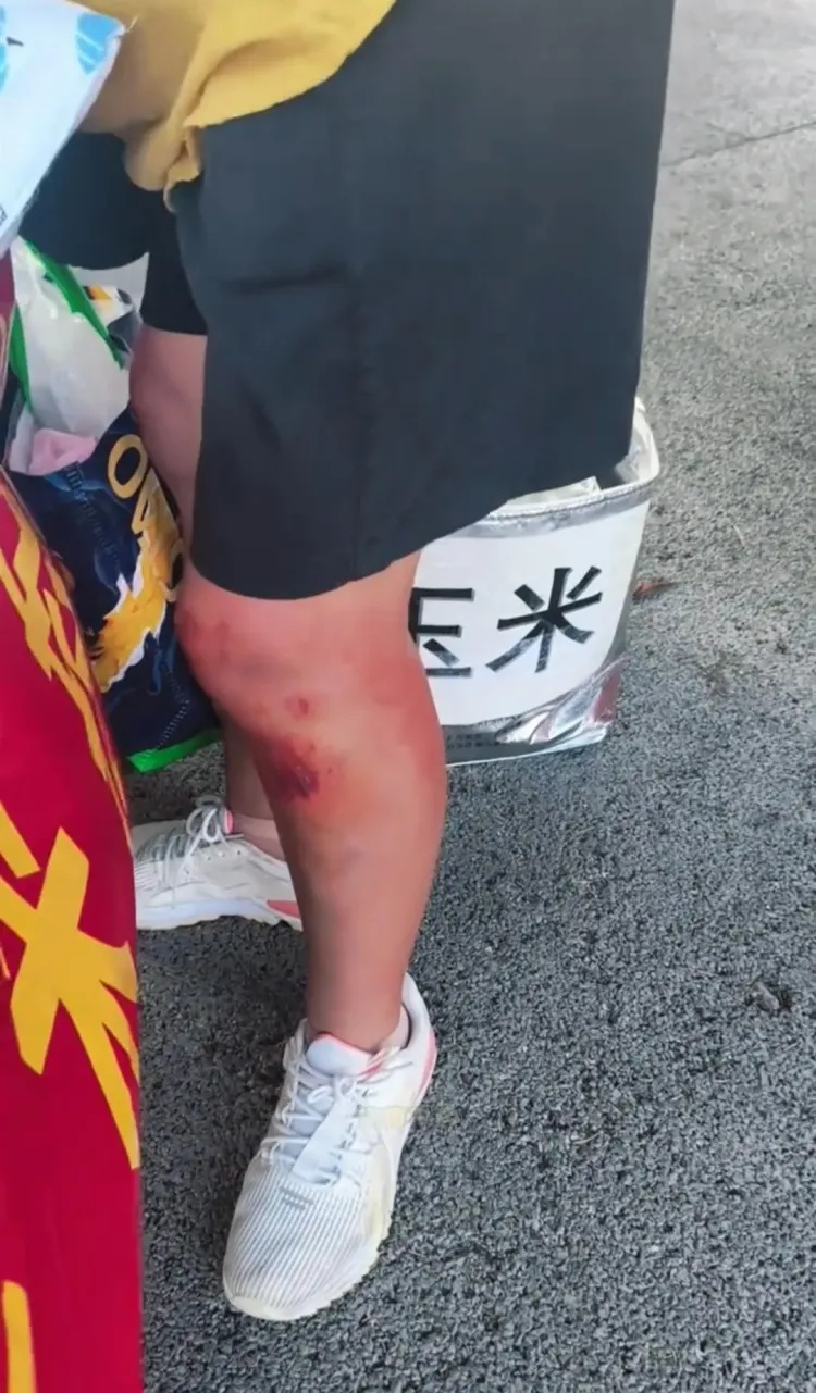 青岛玉米大姨跳海救人后重回原地摆摊，网友呼吁给她安排固定摊位，景区回应