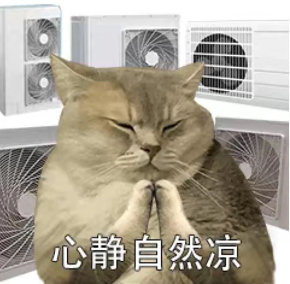 一热就出汗 VS 热死不出汗，哪种更健康？