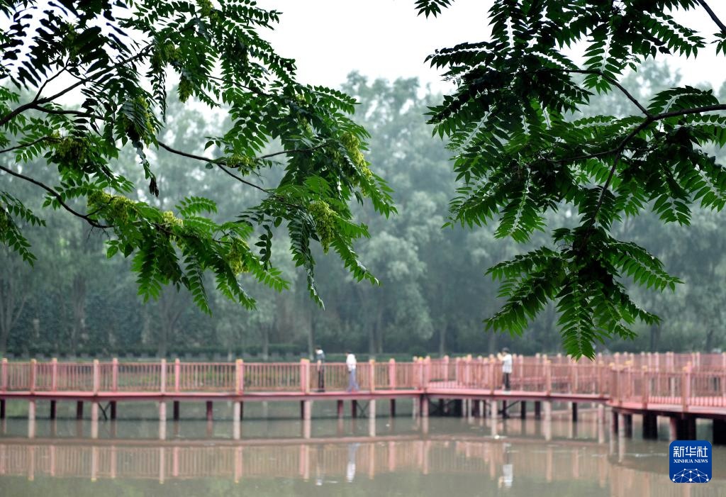 河北涉县：建公园城市 享生态福祉