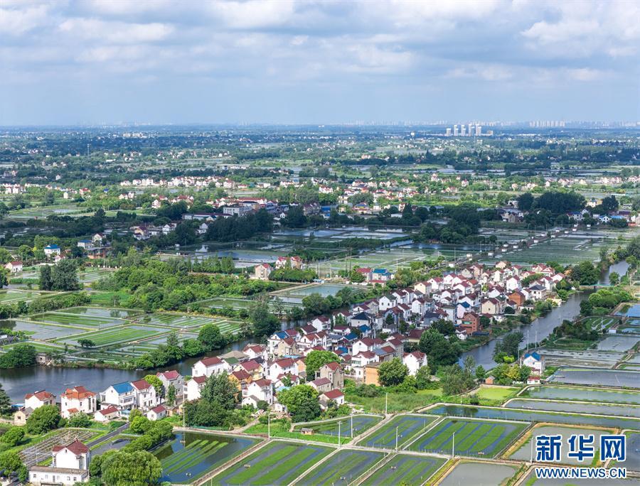 安徽当涂:夏日水乡新画卷 安徽当涂:夏日水乡新画卷