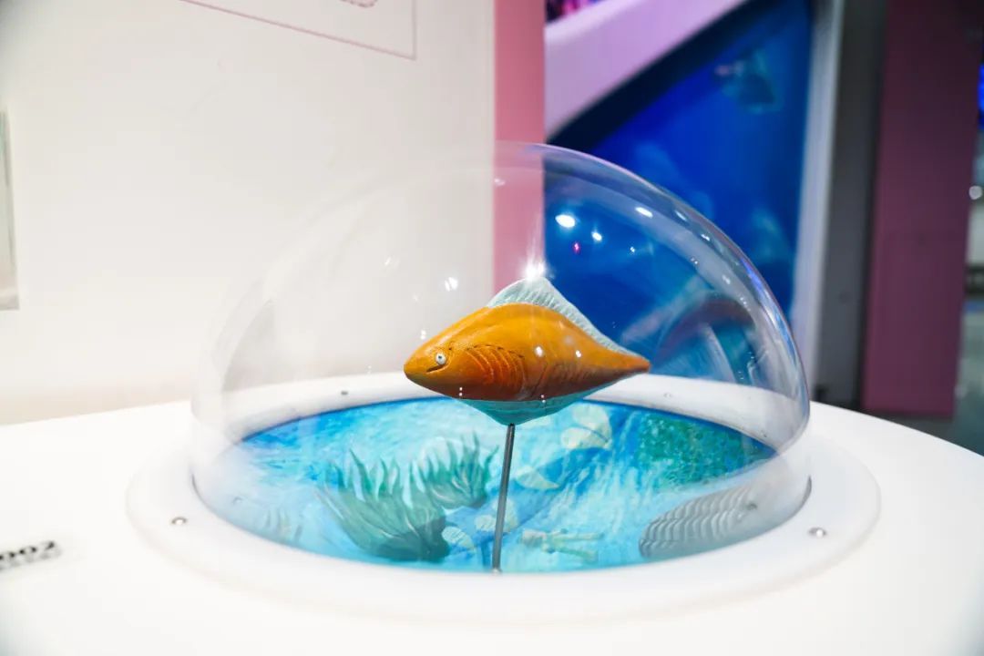 展项拾趣 | 世界上第一条鱼，竟然只有拇指那么大？