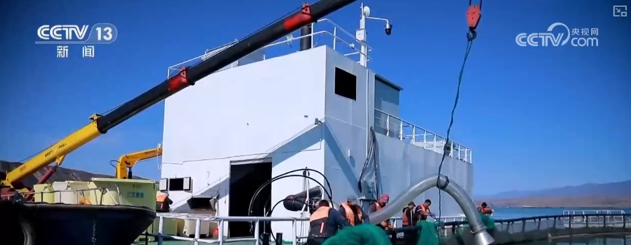 科技“锁鲜”赋能抢“鲜”生意竞速跑 天山脚下美味成百姓餐桌上“常客”