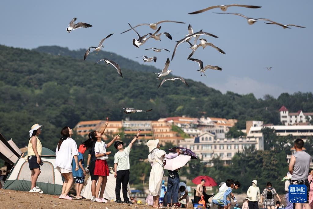 辽宁大连:海滨消暑 辽宁大连:海滨消暑