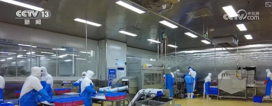 科技“锁鲜”赋能抢“鲜”生意竞速跑 天山脚下美味成百姓餐桌上“常客”