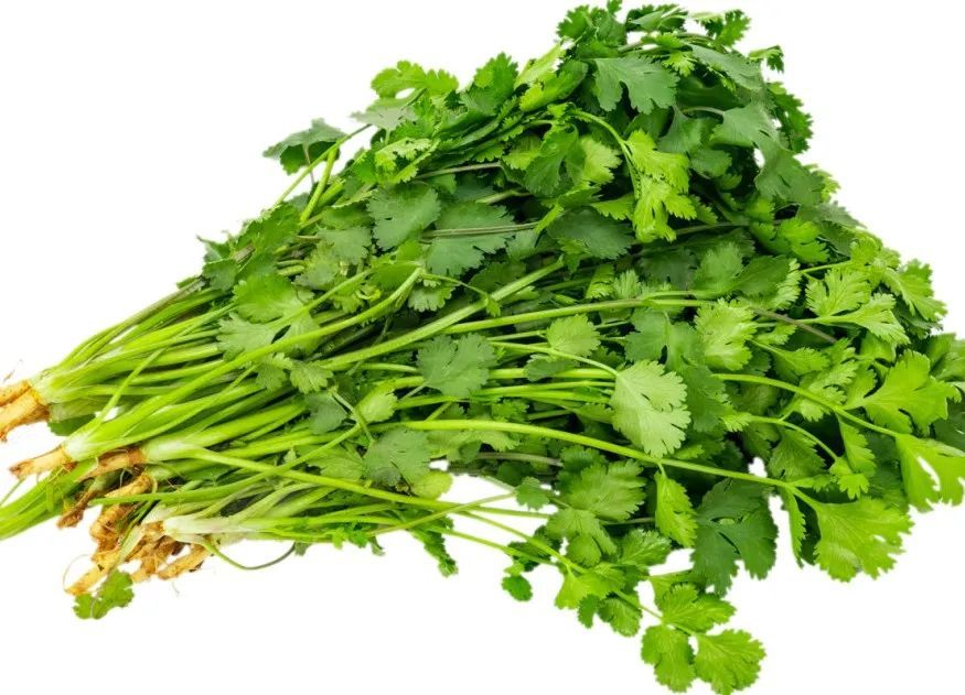 @不吃香菜：科学依据来了！不是挑食那么简单