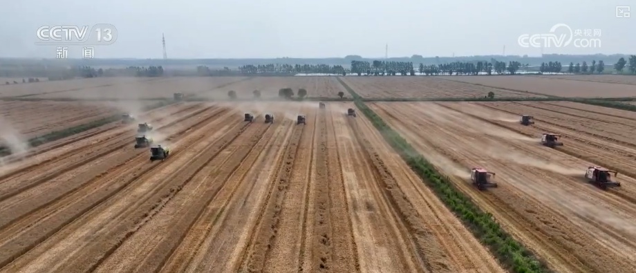 2994.8亿斤、375.6公斤……“数”里行间多维度观察夏粮稳产丰收 2994.8亿斤、375.6公斤……“数”里行间多维度观察夏粮稳产丰收