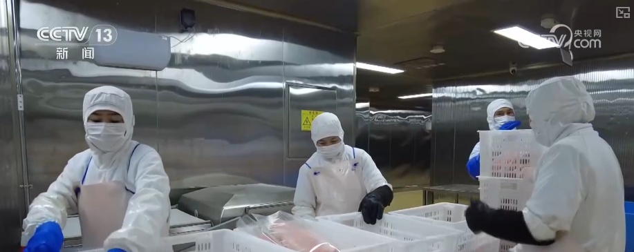 科技“锁鲜”赋能抢“鲜”生意竞速跑 天山脚下美味成百姓餐桌上“常客”