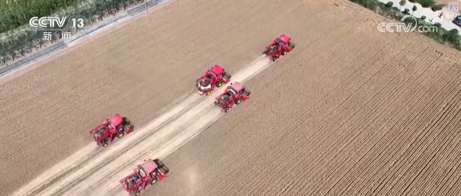 2994.8亿斤、375.6公斤……“数”里行间多维度观察夏粮稳产丰收 2994.8亿斤、375.6公斤……“数”里行间多维度观察夏粮稳产丰收